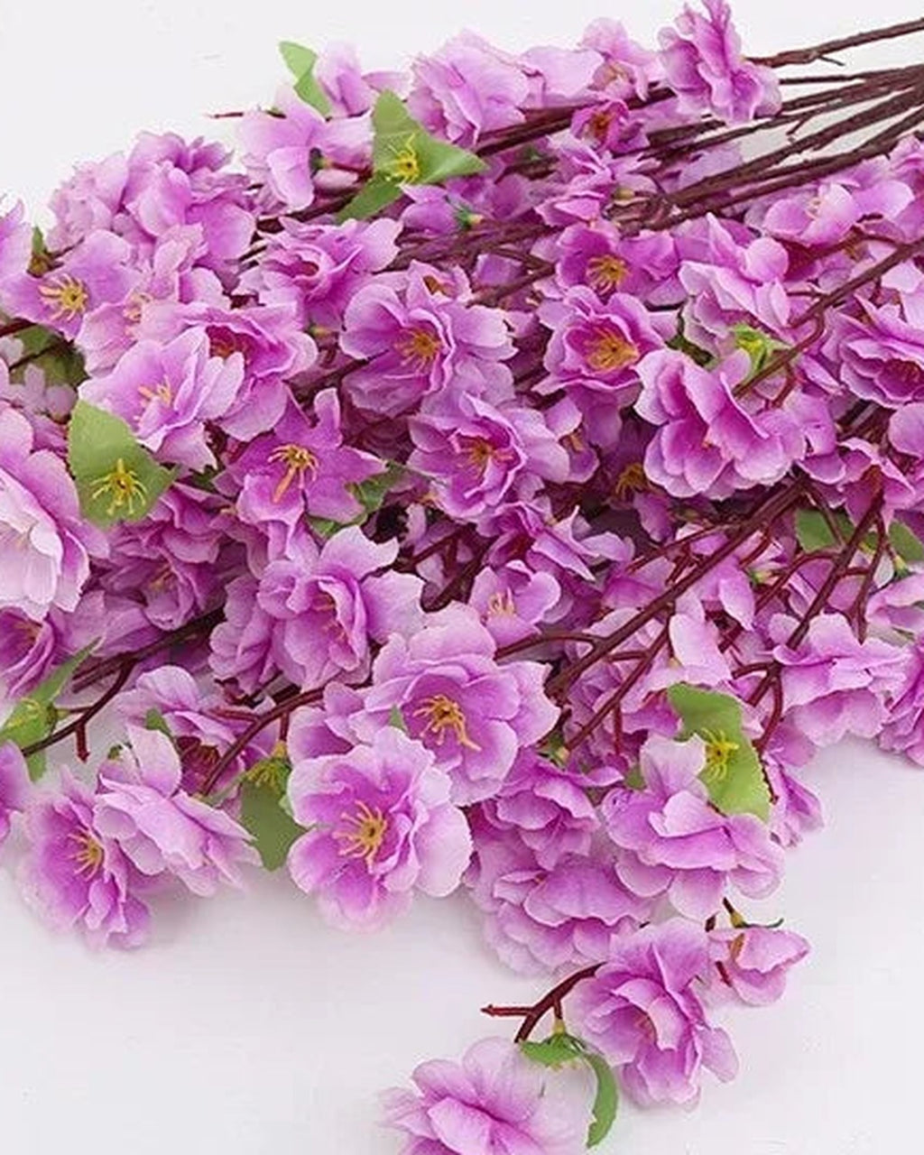 Purple peach blossom, close view of the flower color