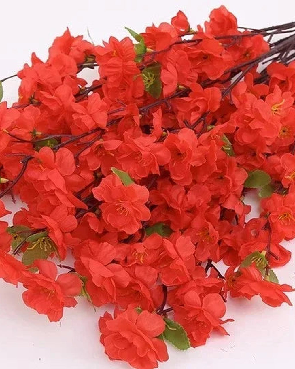 Red peach blossom, close view of the flower color