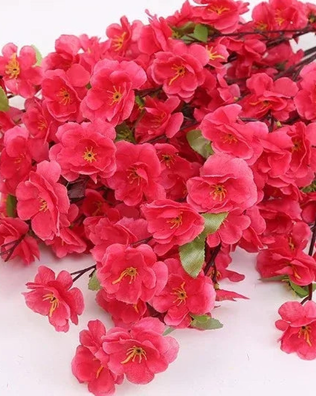 Rose pink peach blossom, close view of the flower color