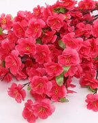 Rose pink peach blossom, close view of the flower color
