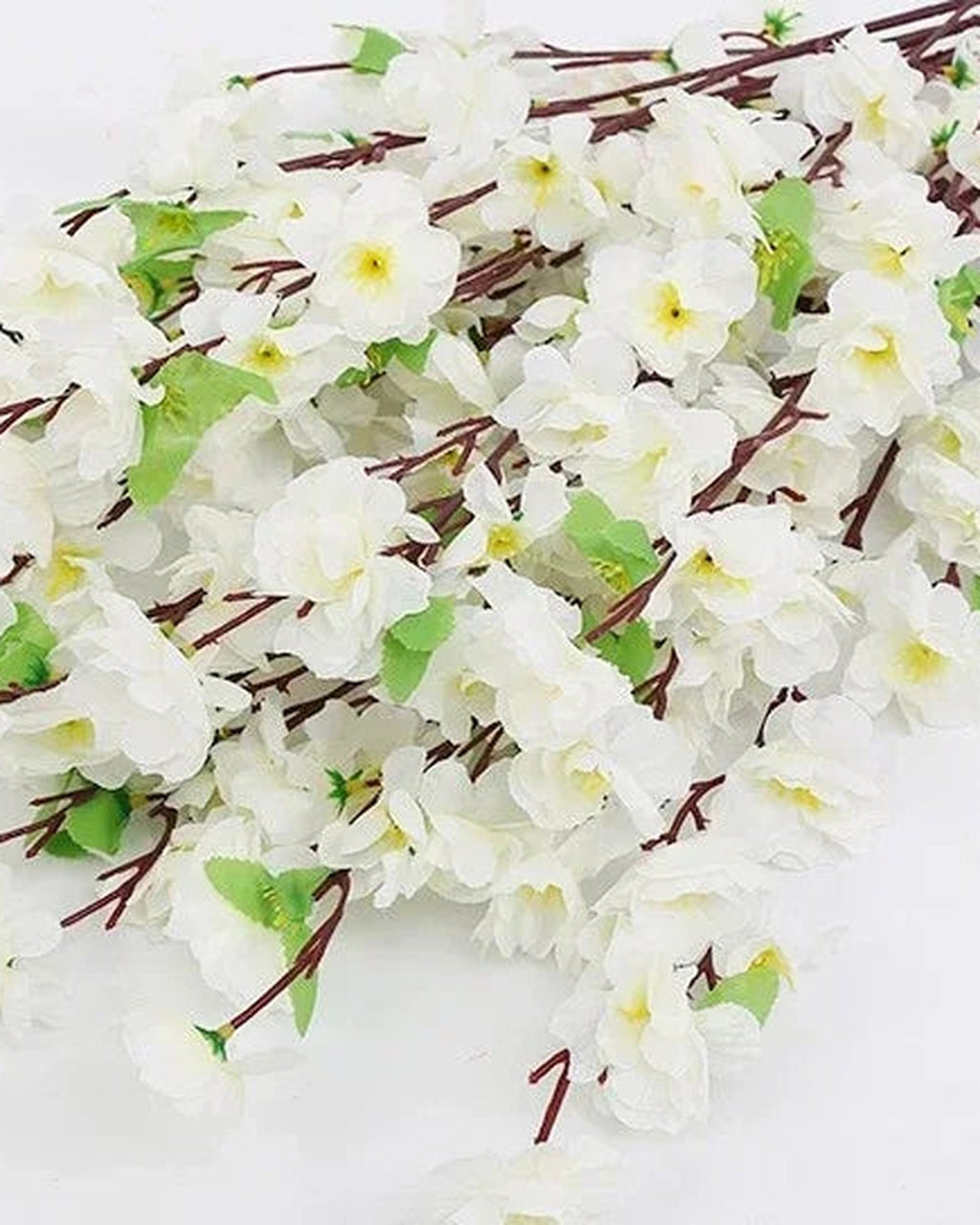 White peach blossom, close view of the flower color