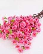 Close view of the five-petal peach blossom flowers along the stem