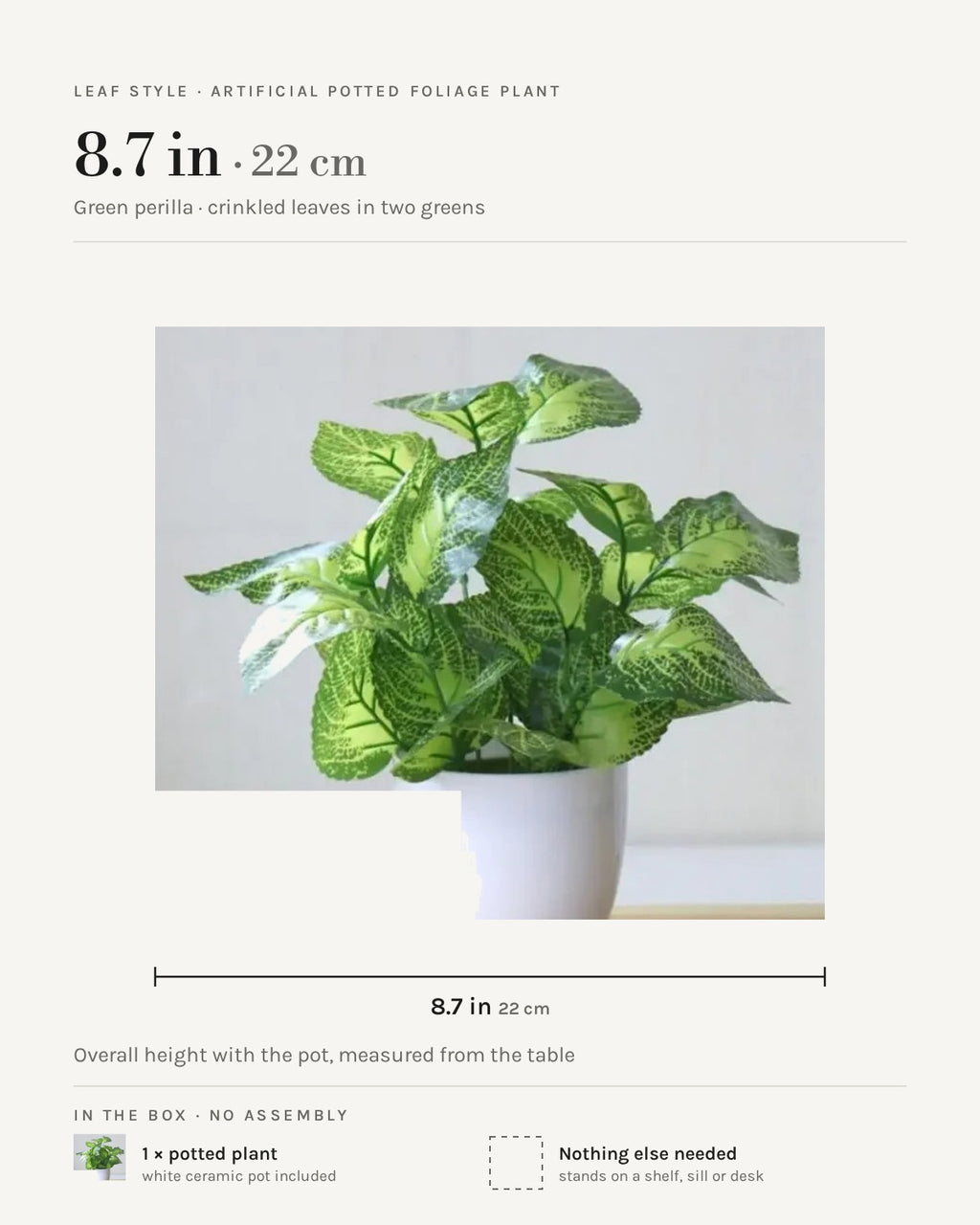 Leaf style: green perilla, 8.7 in overall with the pot
