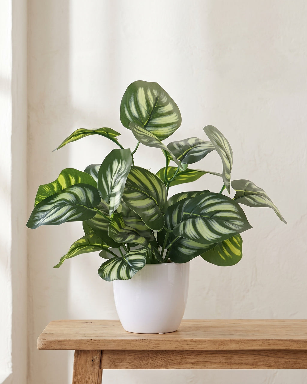 The same potted plant at the end of a bare console table in a sunlit room