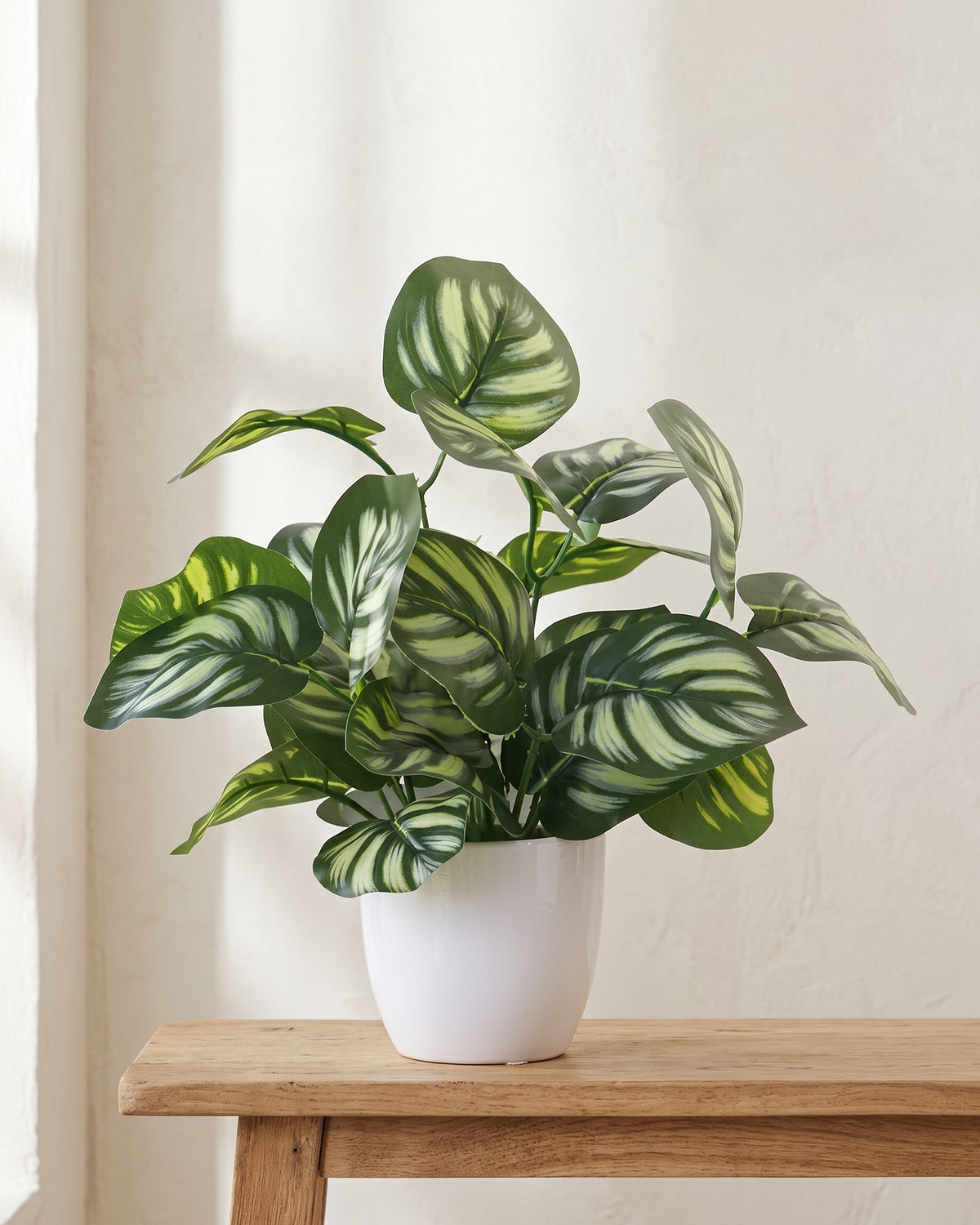 The same potted plant at the end of a bare console table in a sunlit room