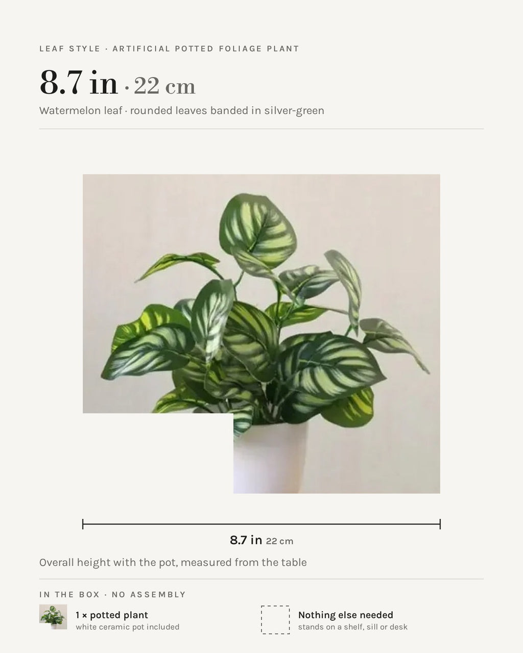 Leaf style: watermelon leaf, 8.7 in overall with the pot