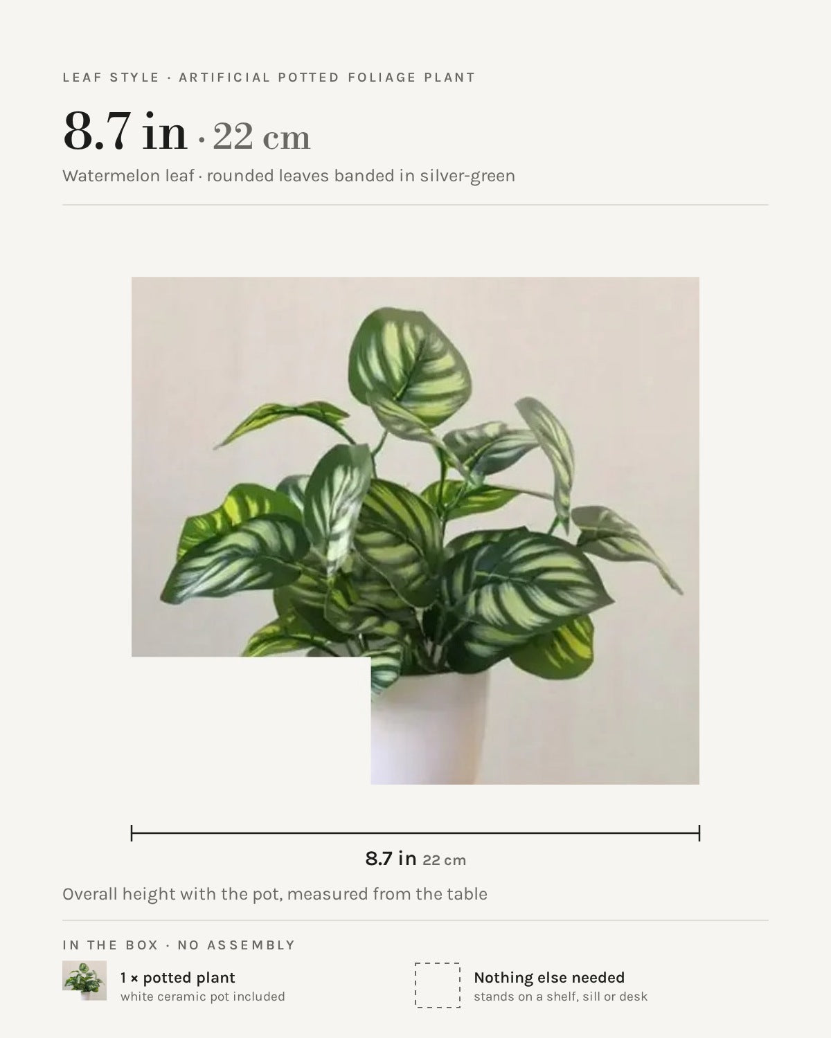 Leaf style: watermelon leaf, 8.7 in overall with the pot