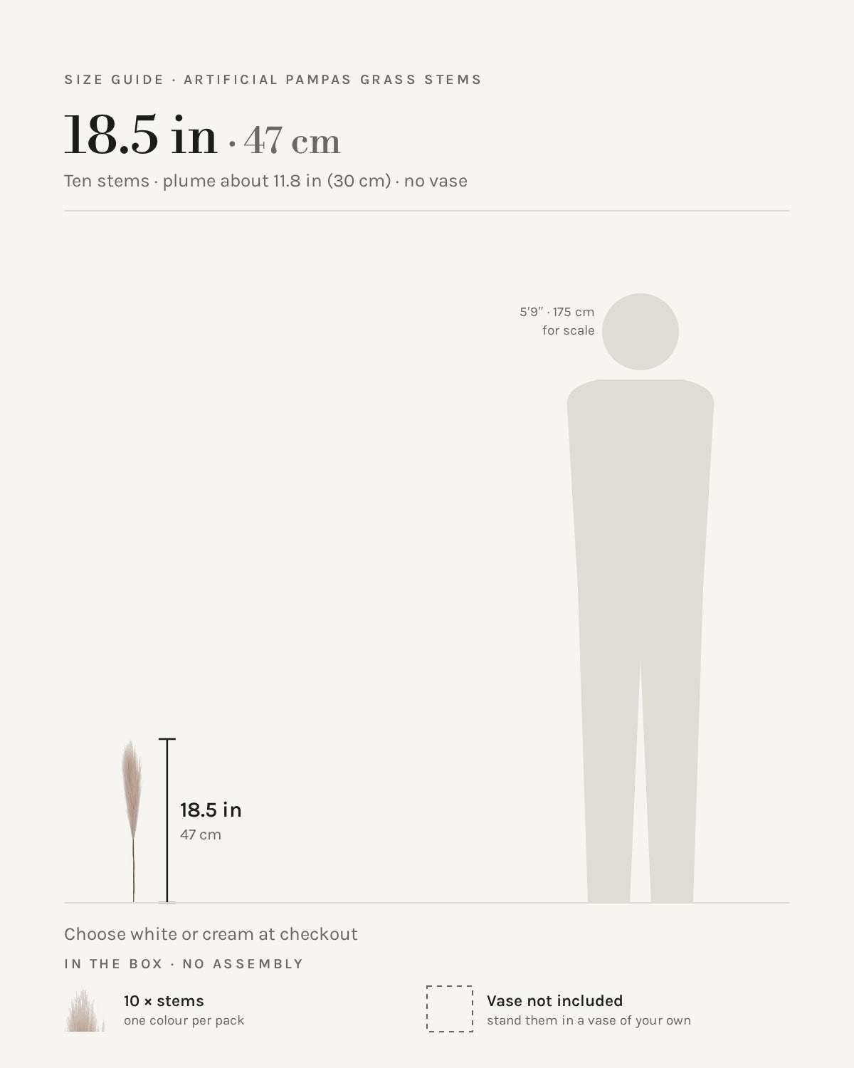 Size guide: one stem 18.5 in / 47 cm, shown beside a 5 ft 9 in figure