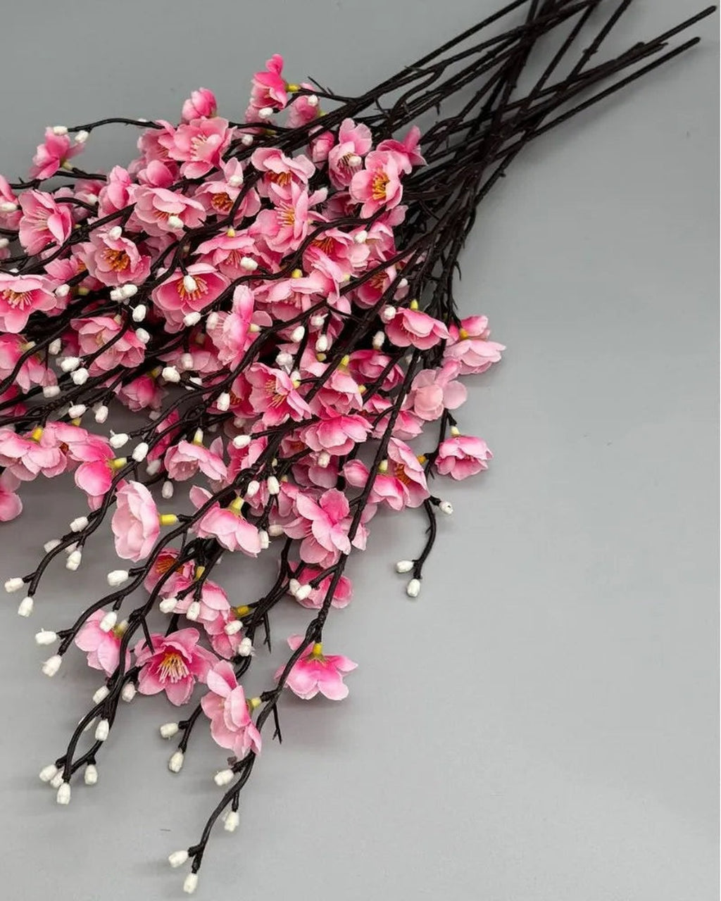 Pink plum blossom flowers, close detail of the color.
