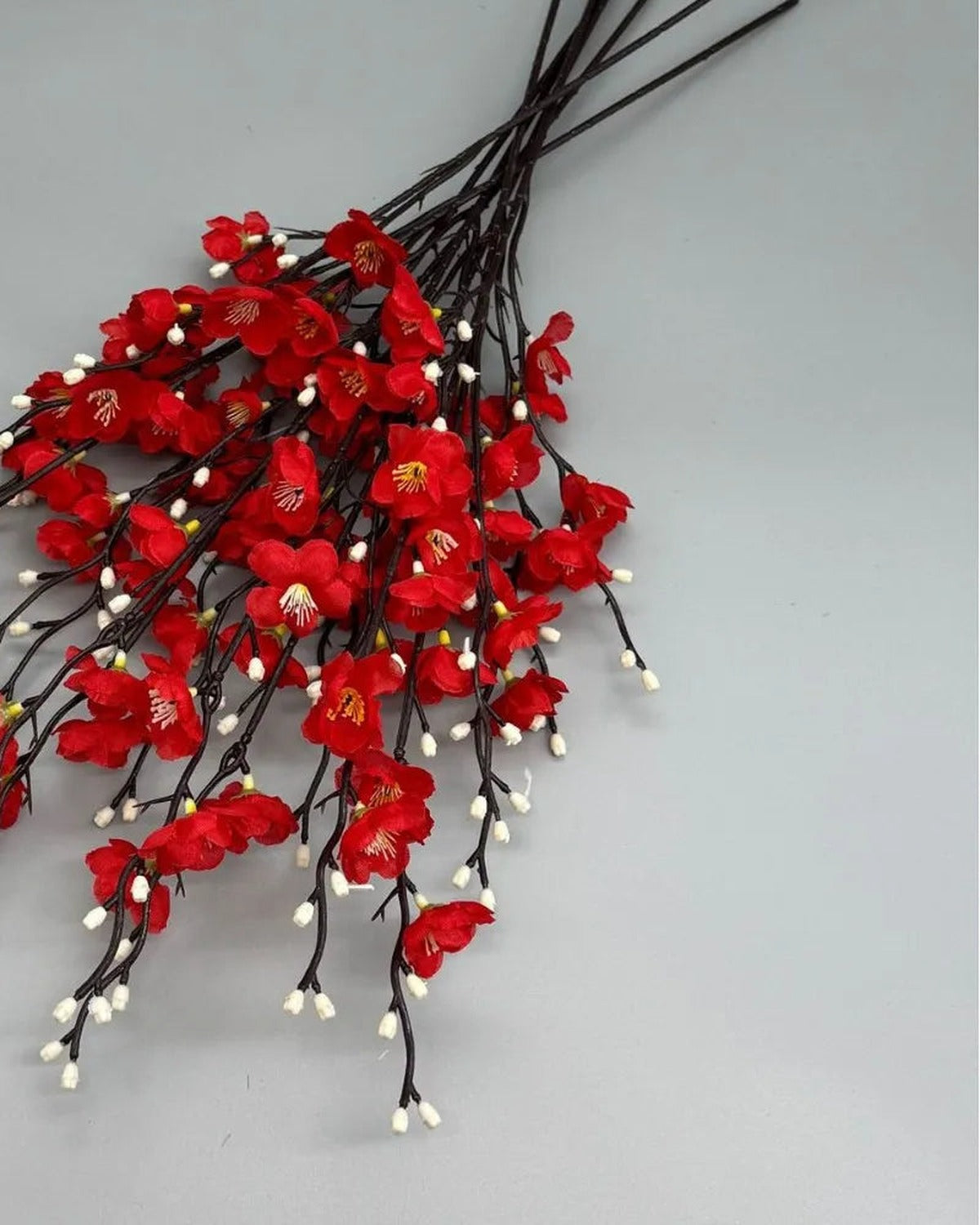 Red plum blossom flowers, close detail of the color.