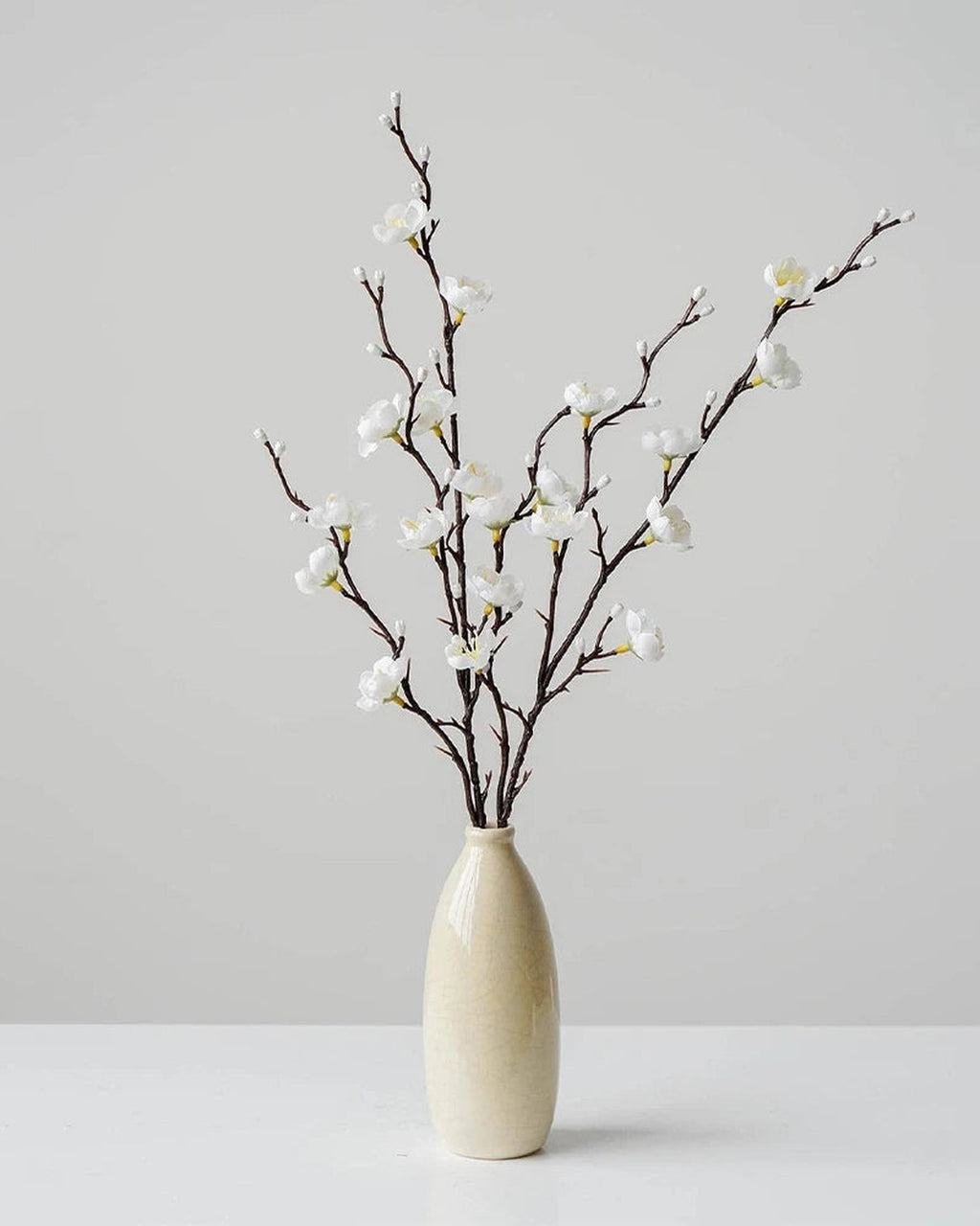 Plum blossom stems arranged in a vase in a plain interior. Vase not included.