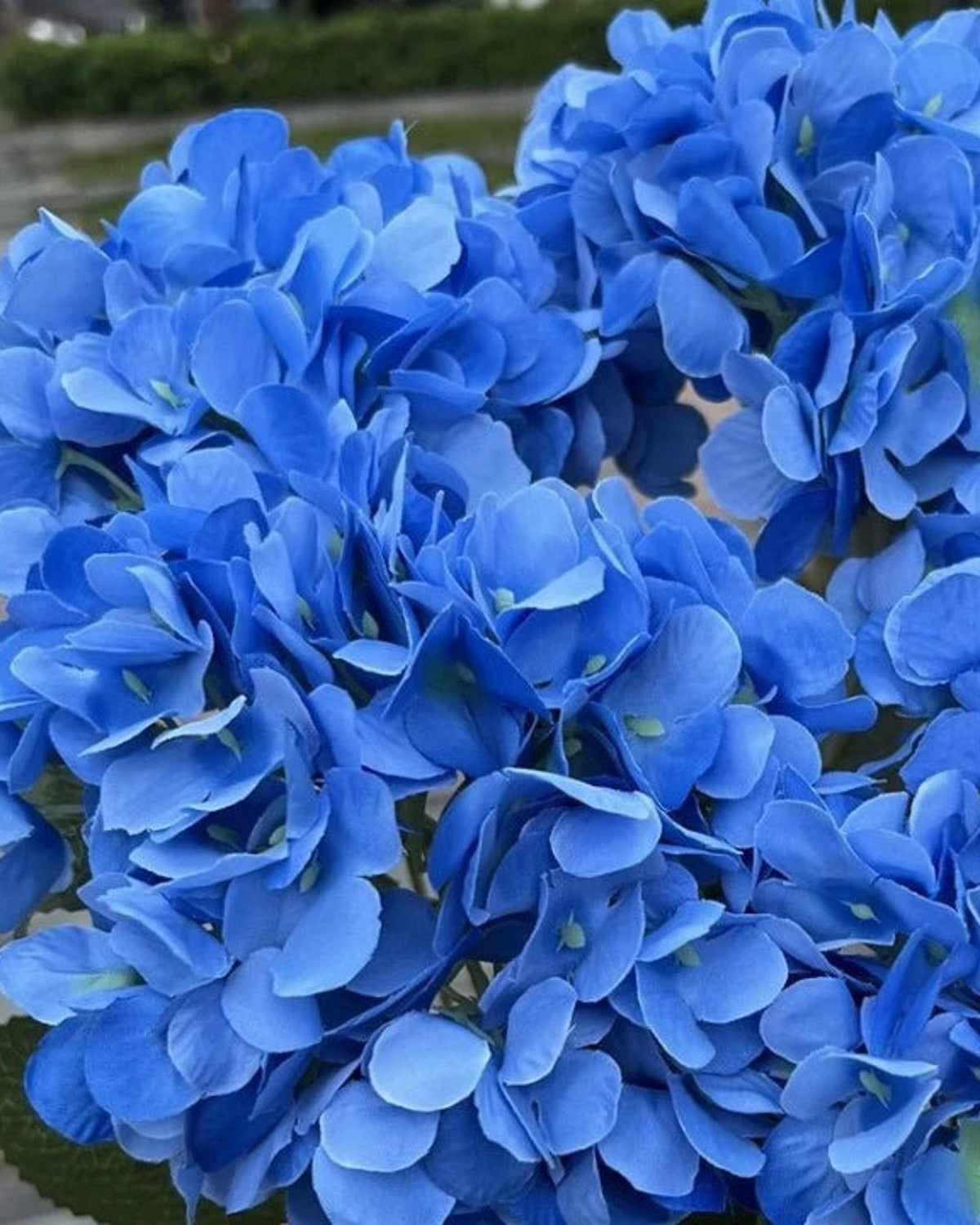 Blue artificial hydrangea flowers, five domed heads on one bunch