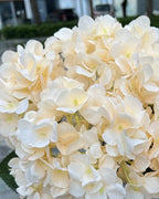 Champagne artificial hydrangea flowers, five domed heads on one bunch