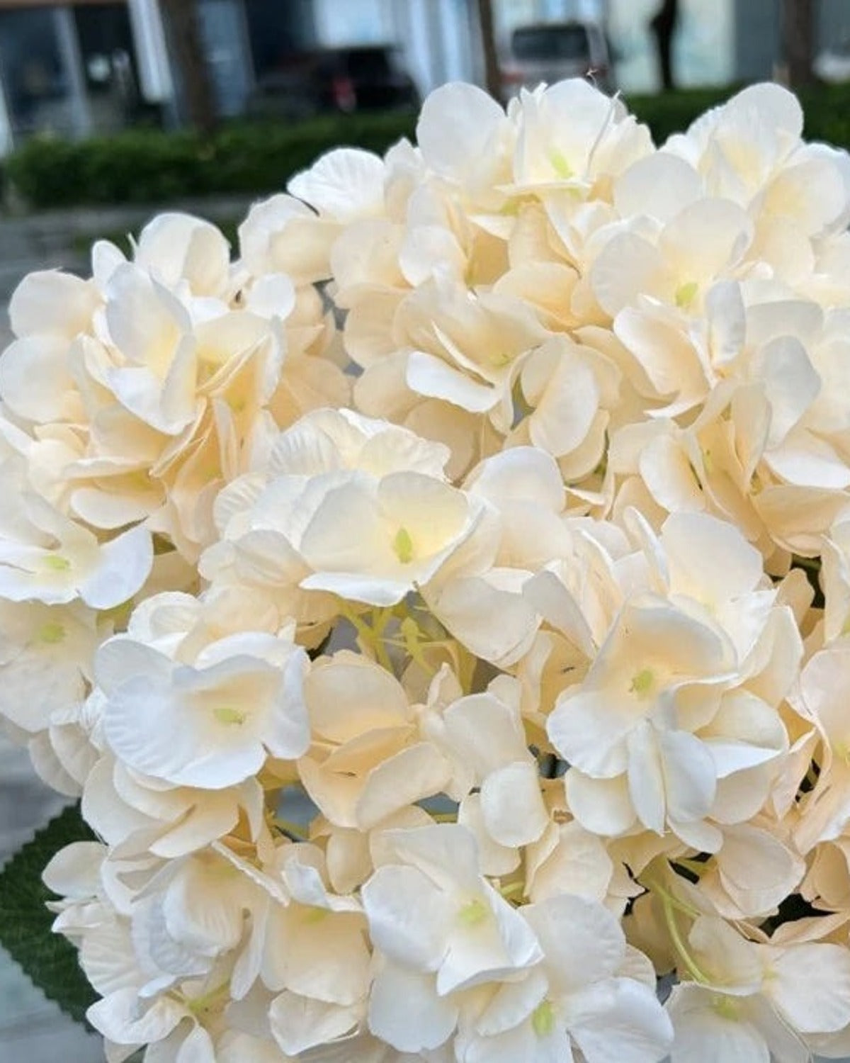 Champagne artificial hydrangea flowers, five domed heads on one bunch