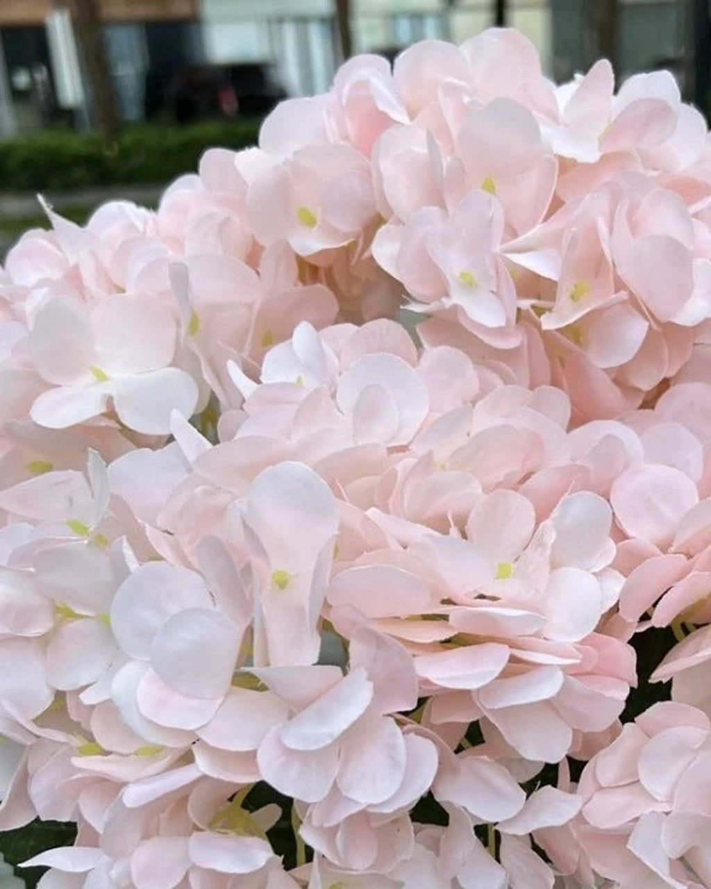 Light Pink artificial hydrangea flowers, five domed heads on one bunch