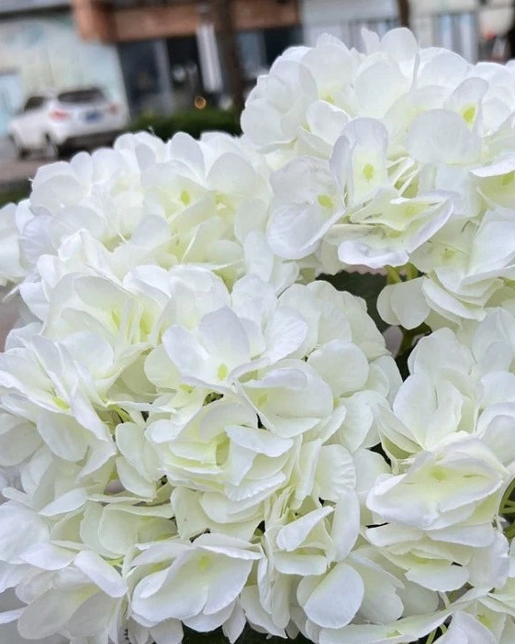 Milk White artificial hydrangea flowers, five domed heads on one bunch