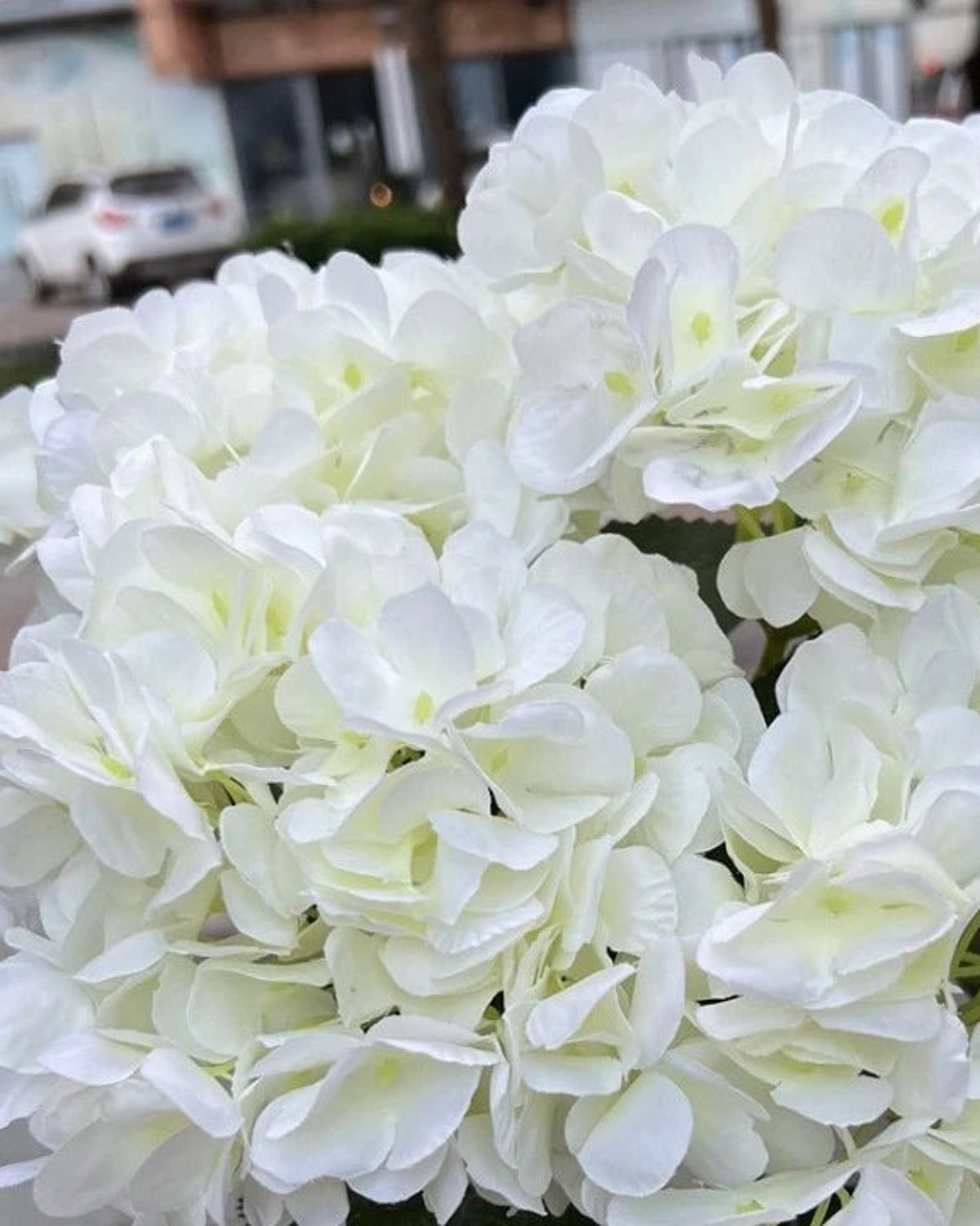 Milk White artificial hydrangea flowers, five domed heads on one bunch