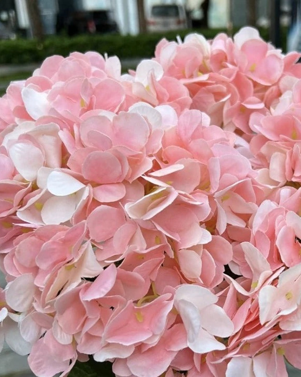 Pink artificial hydrangea flowers, five domed heads on one bunch