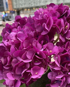 Purple artificial hydrangea flowers, five domed heads on one bunch