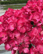 Rose Red artificial hydrangea flowers, five domed heads on one bunch