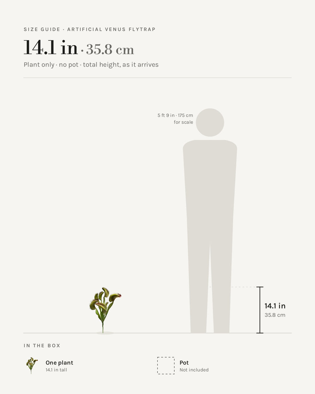Size guide: artificial Venus flytrap at 14.1 in, beside a 5 ft 9 in figure