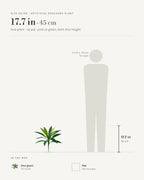 Size guide: artificial dracaena at 17.7 in, beside a 5 ft 9 in figure