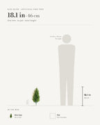 Size guide: artificial pine tree at 18.1 in, beside a 5 ft 9 in figure