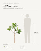 Size guide: feather leaf artificial tree branch at 47.2 in, the tallest of its sizes, beside a 5 ft 9 in figure; also 36.2 and 43.3 in