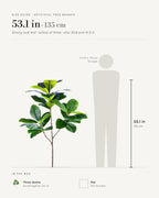 Size guide: glossy oval leaf artificial tree branch at 53.1 in, the tallest of its sizes, beside a 5 ft 9 in figure; also 33.9 and 41.3 in