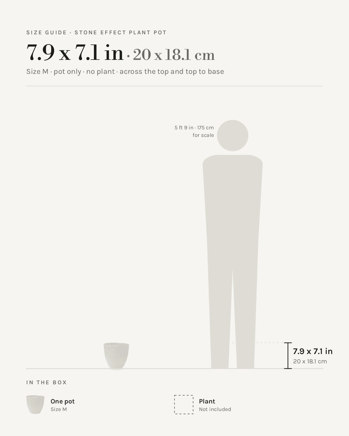 Size guide: stone effect plant pot, size M at 7.9 x 7.1 in across the top and top to base, beside a 5 ft 9 in figure