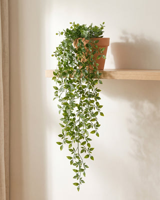 Artificial trailing vine in a terracotta pot on a pale oak shelf, foliage falling free below