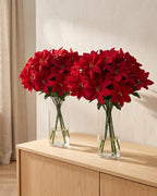 Red artificial poinsettia bouquets in two clear glass vases on a sideboard; vases not included