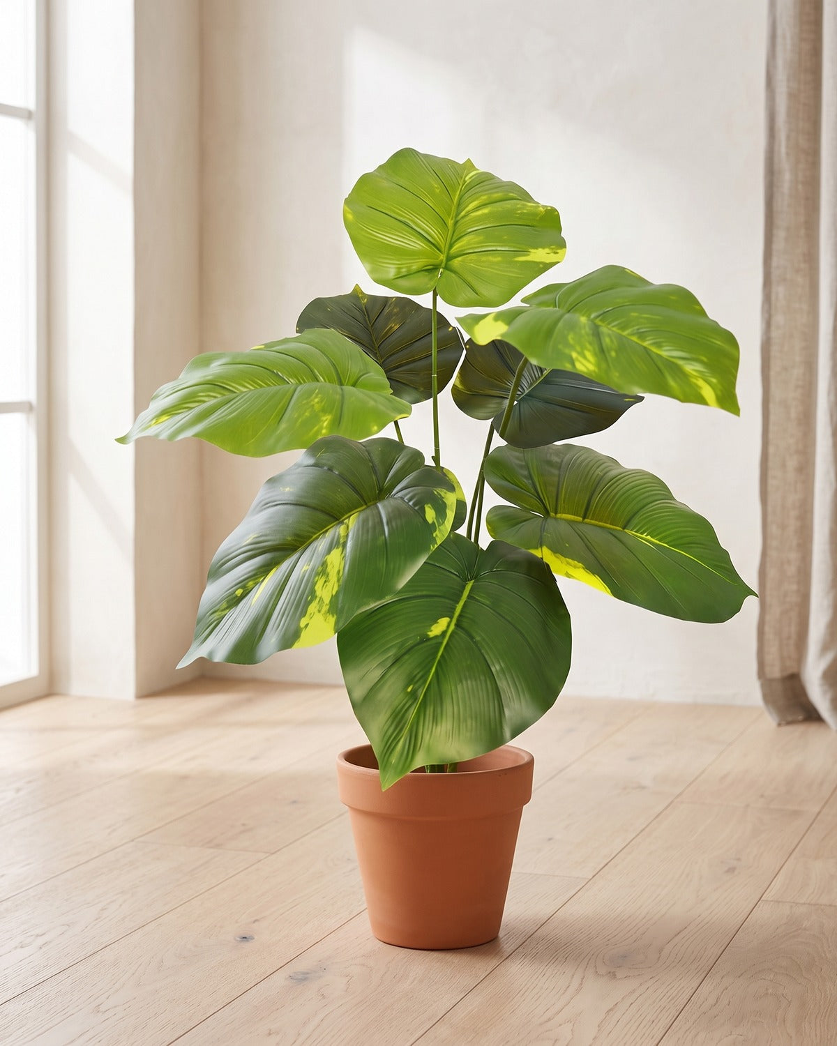 Yellow-variegated round leaf artificial leaf bush, 24.8 in with eight leaves, in a plain terracotta pot on pale oak floorboards; pot not included