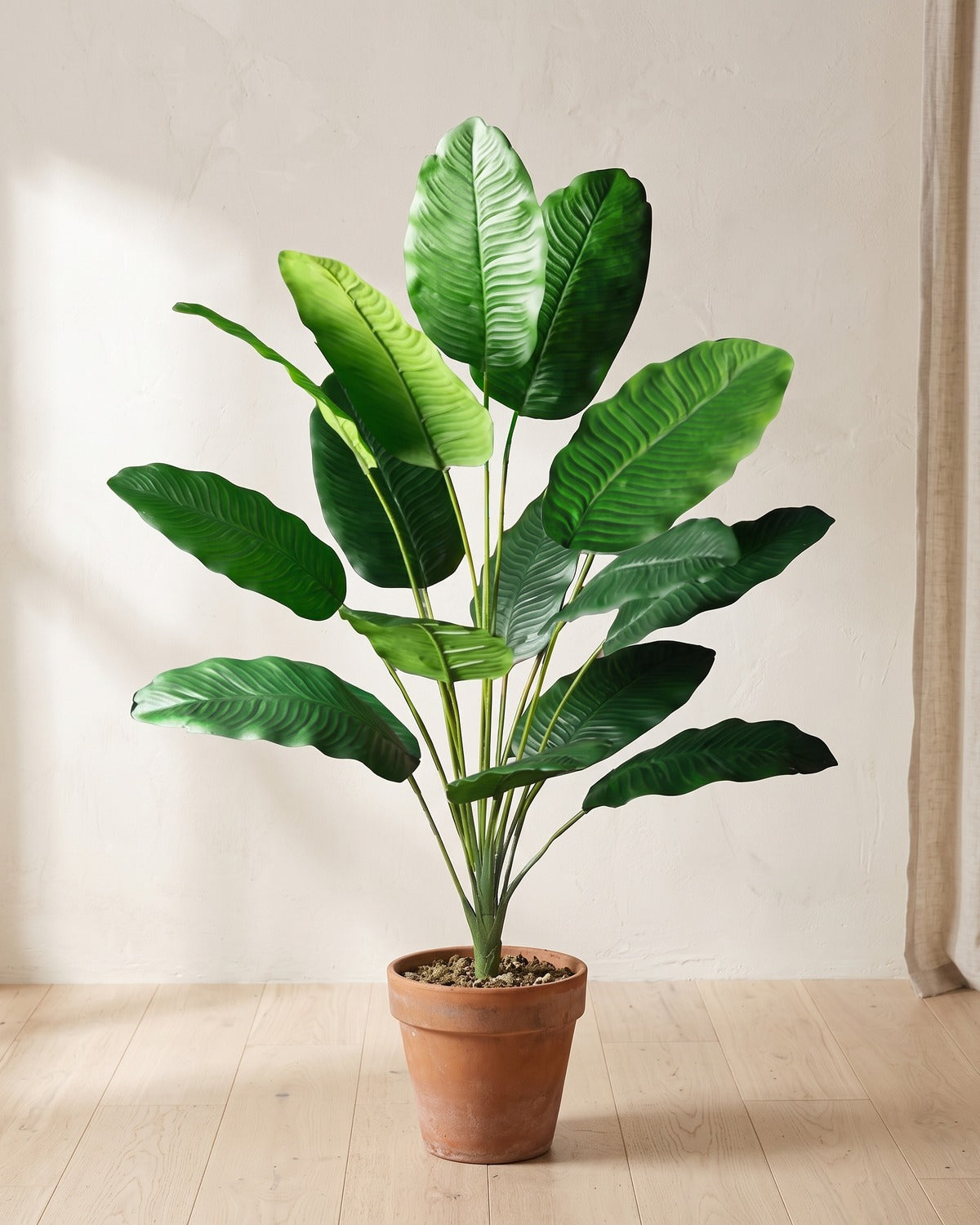 Green leaf artificial banana leaf plant, 37.8 in with fifteen leaves, in a plain terracotta pot on pale oak floorboards; pot not included