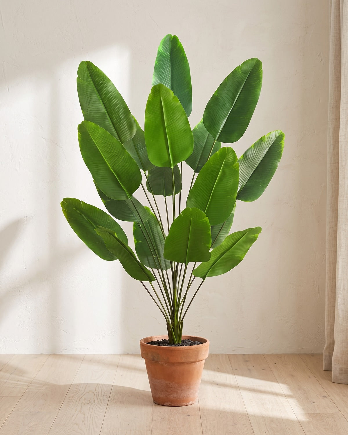 Green leaf artificial banana leaf plant, 49.2 in with eighteen leaves, in a plain terracotta pot on pale oak floorboards; pot not included