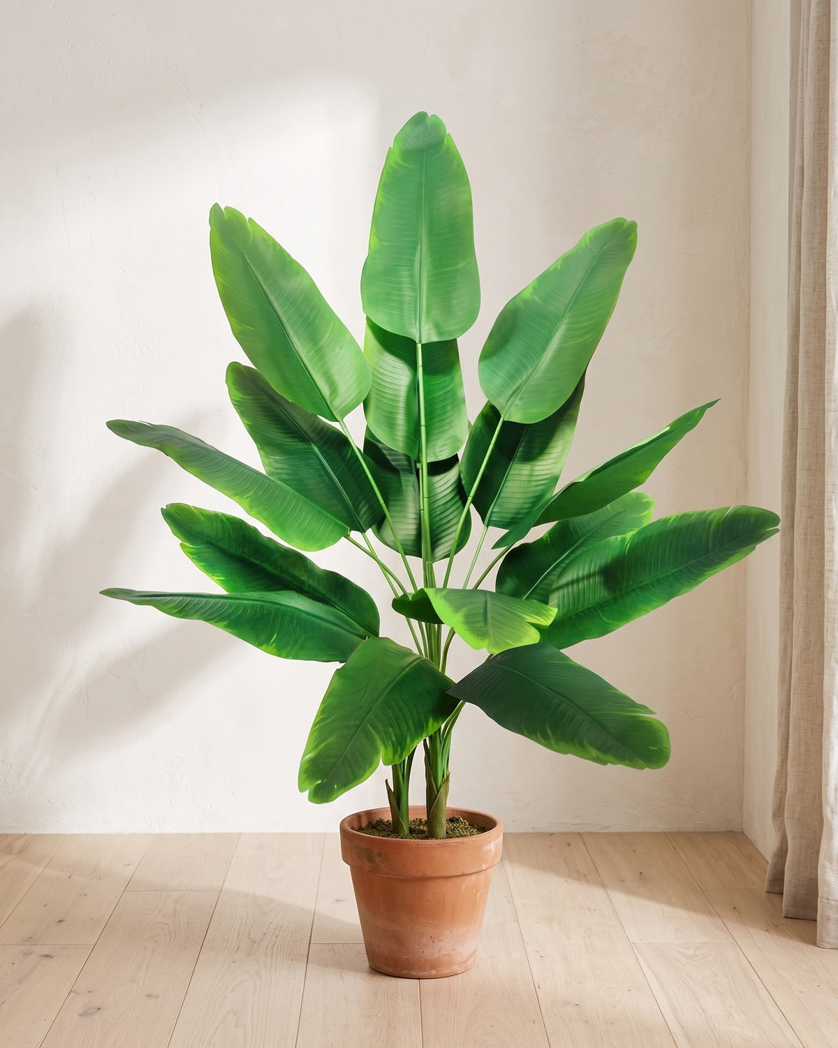 Green leaf artificial banana leaf plant, 37.8 in with fifteen leaves, in a plain terracotta pot on pale oak floorboards; pot not included