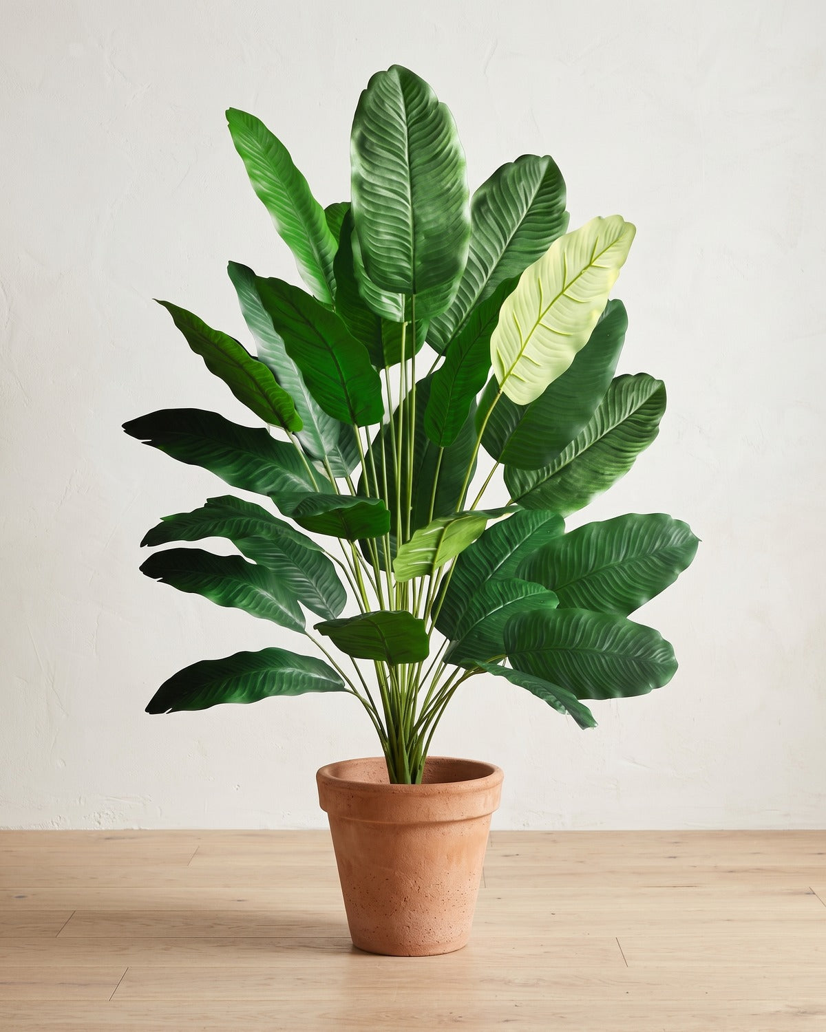Green leaf artificial banana leaf plant, 45.7 in with twenty-four leaves, in a plain terracotta pot on pale oak floorboards; pot not included