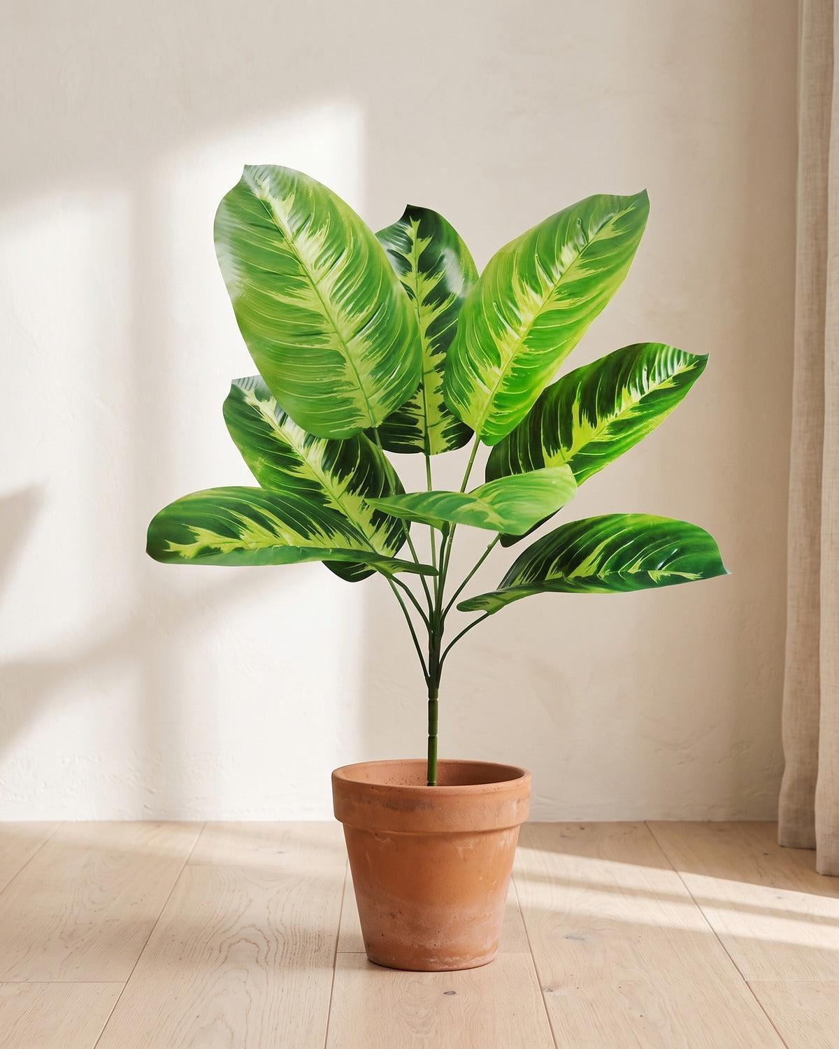 Variegated leaf artificial banana leaf plant, 28 in with eight leaves, in a plain terracotta pot on pale oak floorboards; pot not included