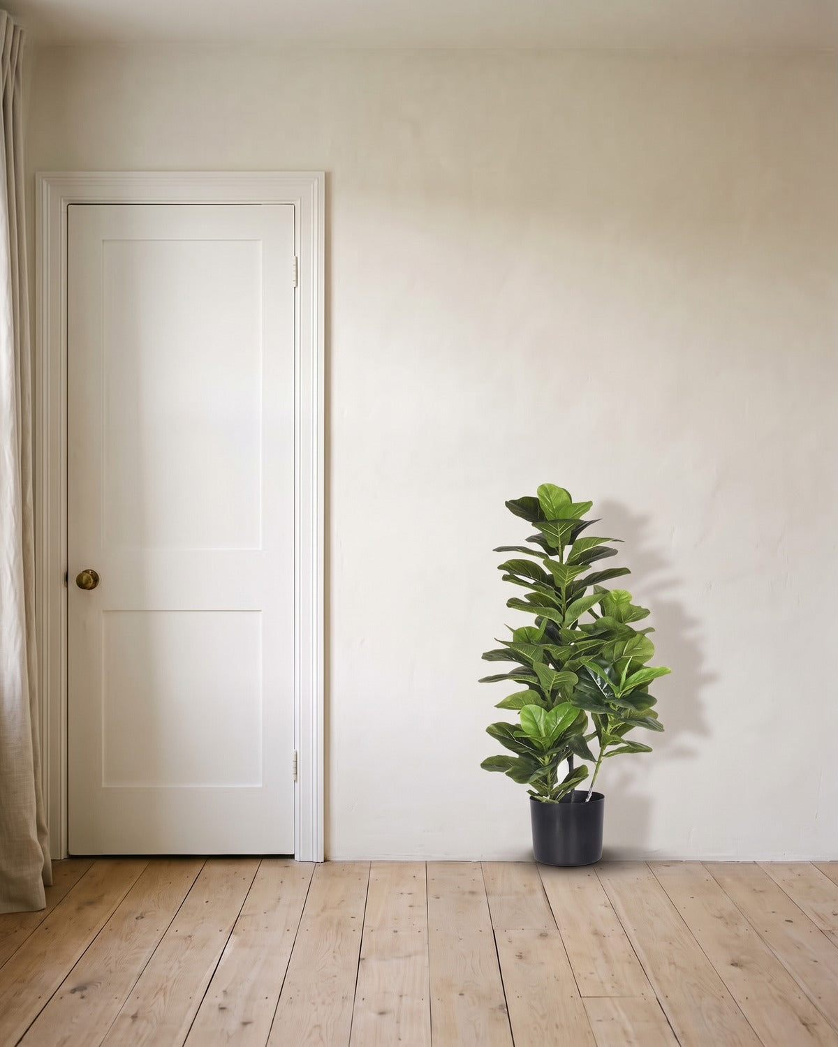 An artificial fiddle leaf fig tree at 47.2 in, in its black nursery pot, beside an 80 in door to show its height