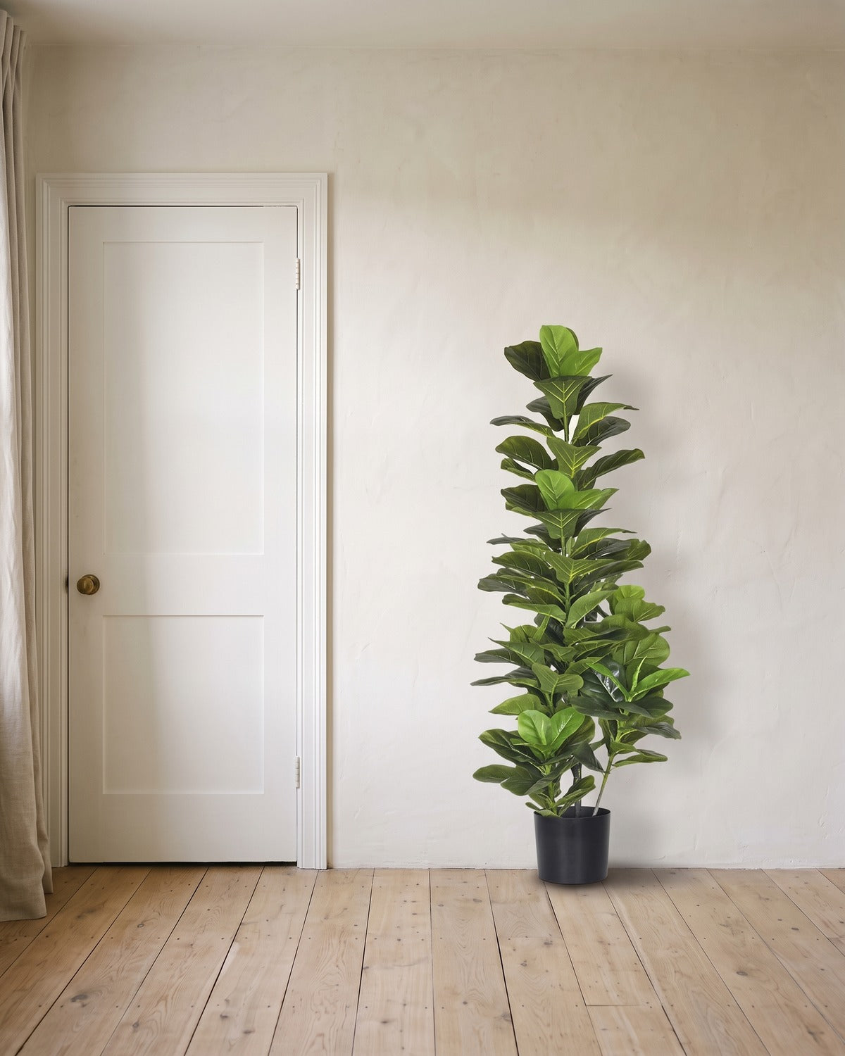 An artificial fiddle leaf fig tree at 66.9 in, in its black nursery pot, beside an 80 in door to show its height