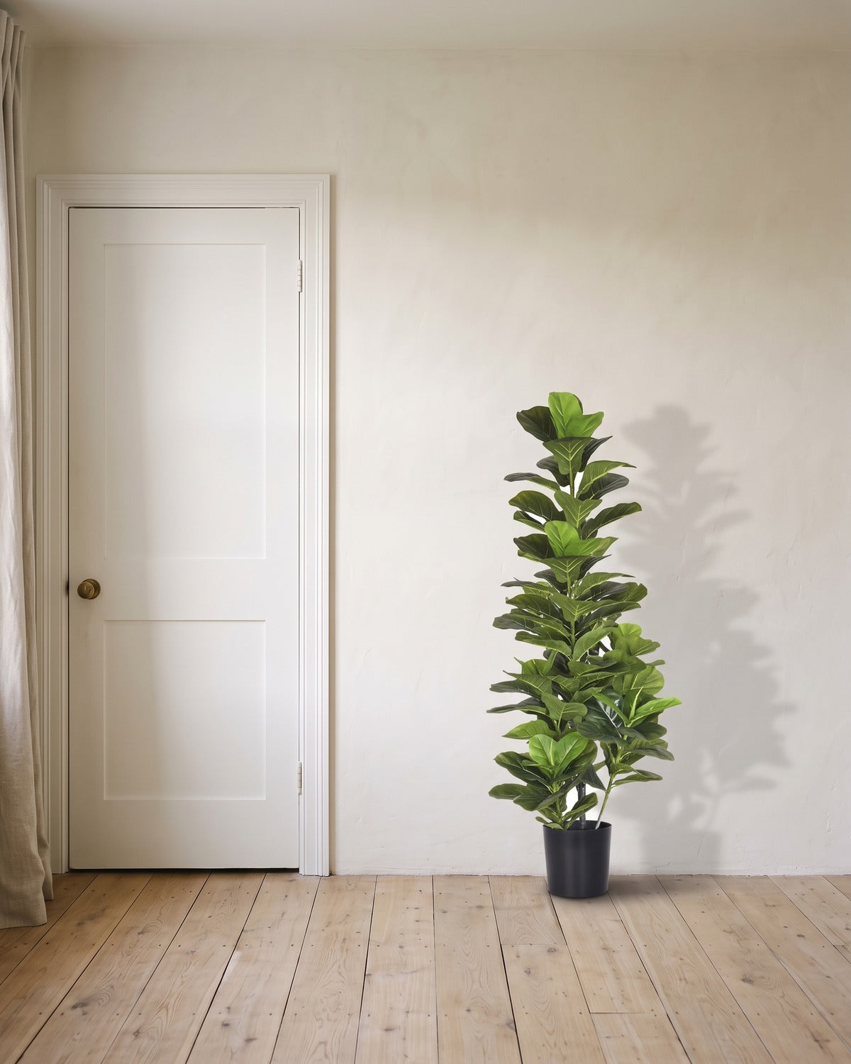 An artificial fiddle leaf fig tree at 59.1 in, in its black nursery pot, beside an 80 in door to show its height