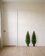 A pair of artificial cedar topiary trees at 36 in, in black nursery pots, beside an 80 in door to show their height