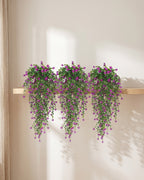 All three vines from one pack hung along the edge of a plain oak shelf