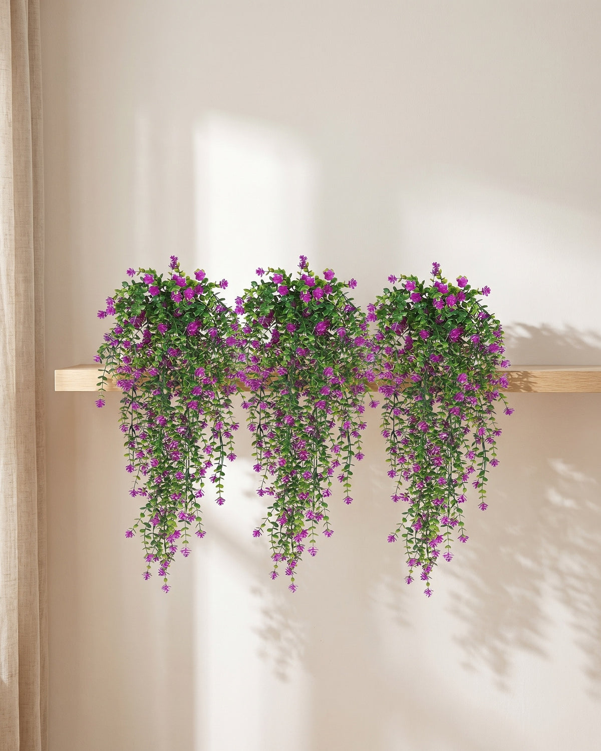 All three vines from one pack hung along the edge of a plain oak shelf